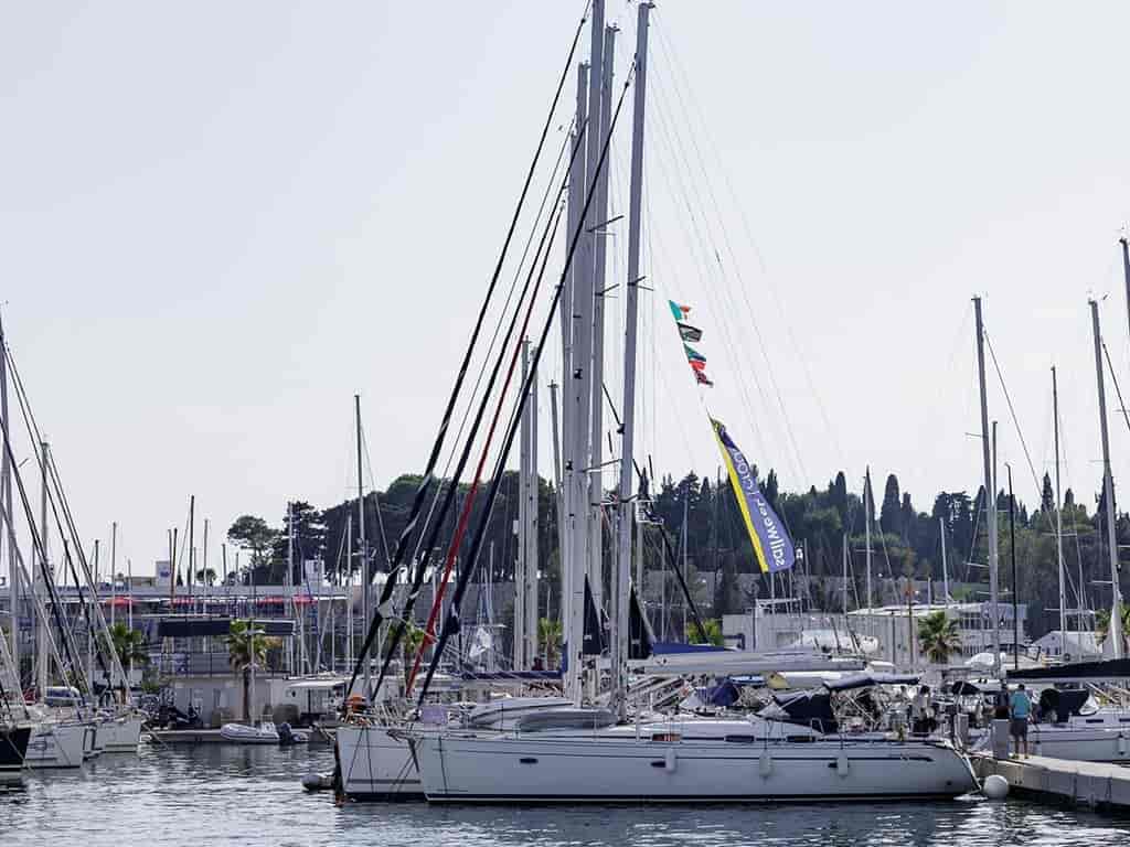 Photo 4 of Lady Clam