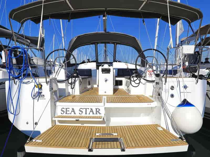 Photo 1 of Sea Star