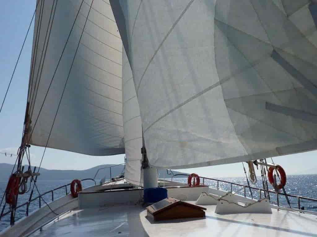 Boat picture 6