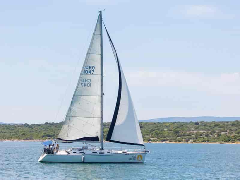 Photo of Nati, image 1 of 5
