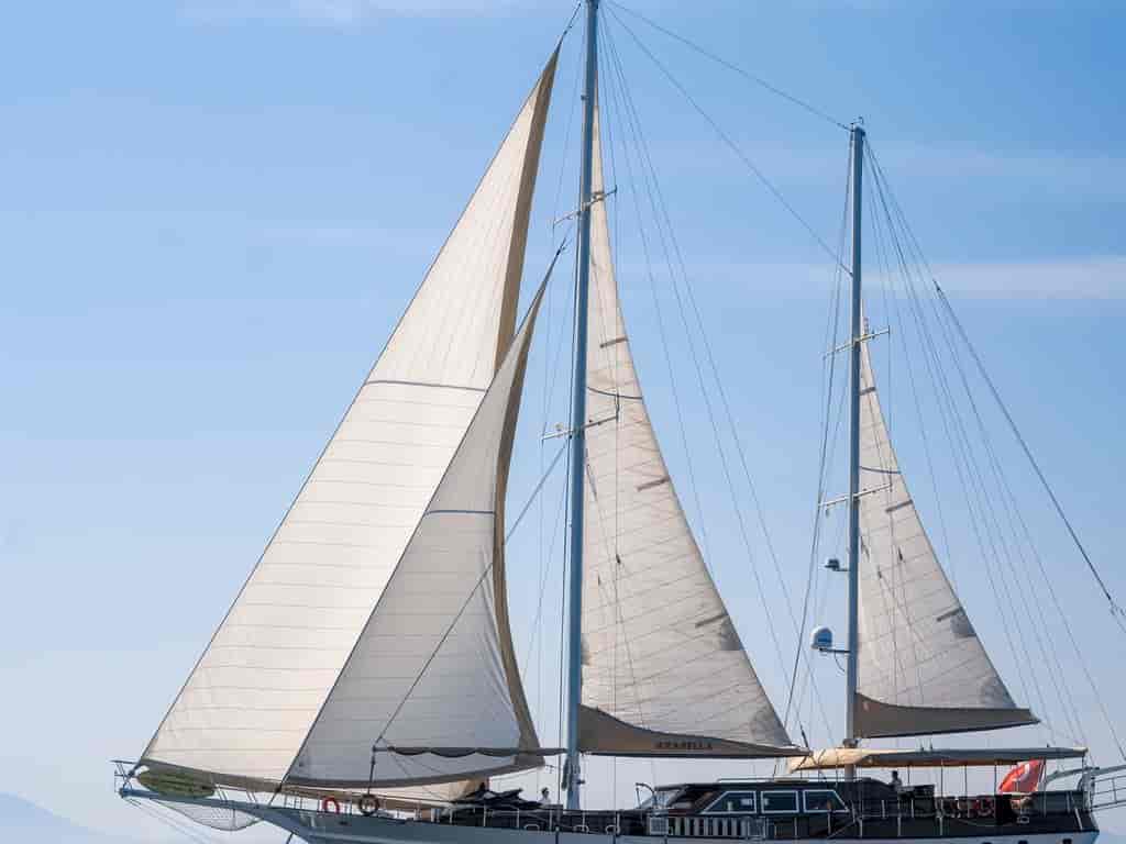 Boat picture 40