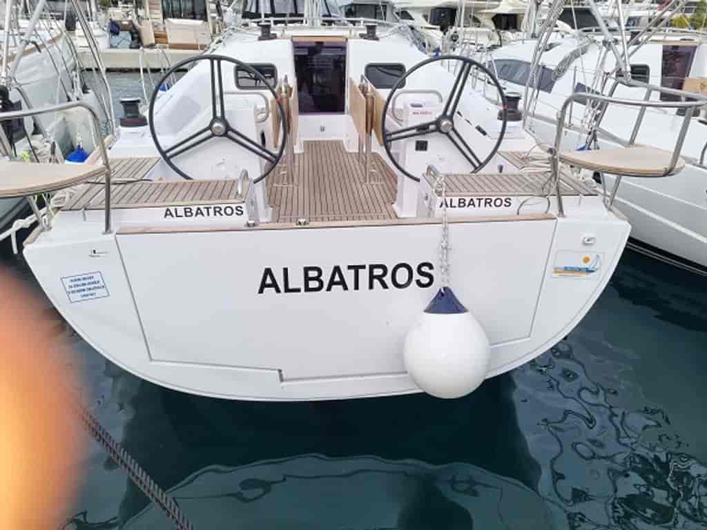Photo 3 of Albatros
