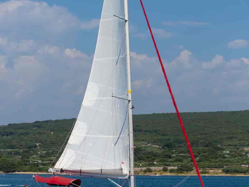 Photo of Euphoria, image 1 of 5