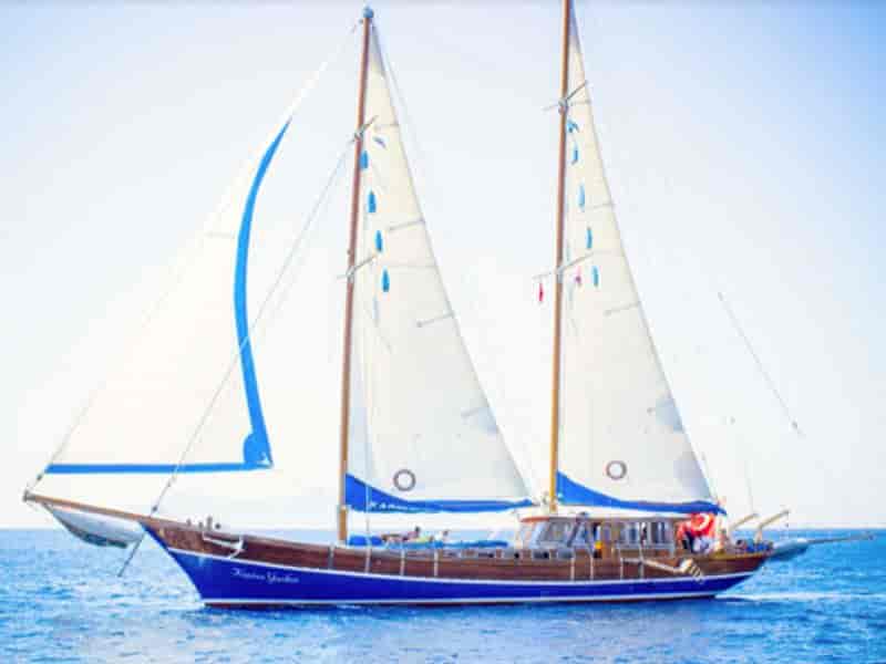 Photo of undefined, image 1 of 15