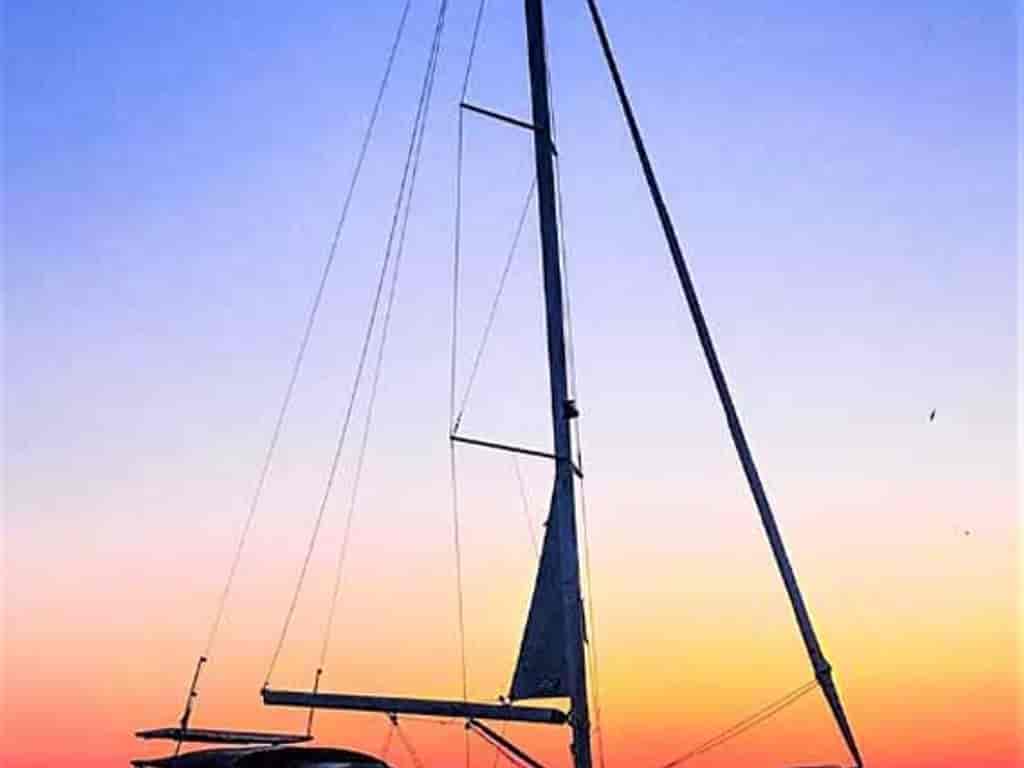 Photo 6 of White Pearl