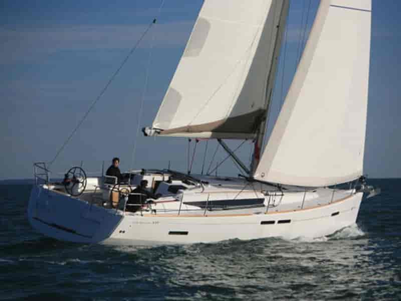 Photo 1 of Blue Swan