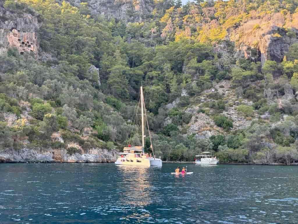 Photo 5 of Pronto Sail