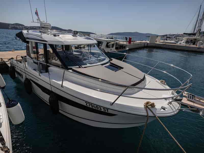 Photo of Shearwater, image 1 of 5