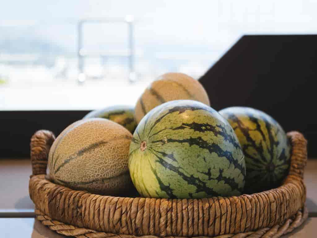 Boat picture 12