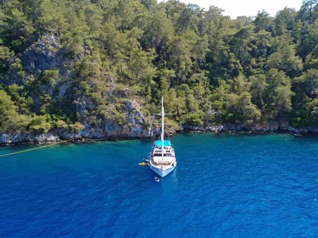 Boat picture 36