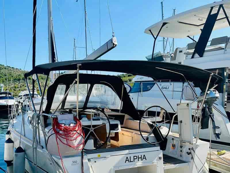 Photo of Alpha, image 1 of 5