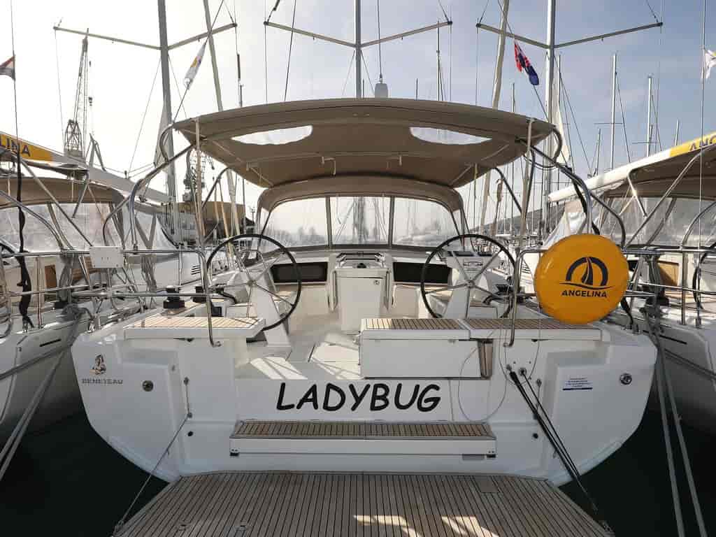 Photo 3 of Ladybug