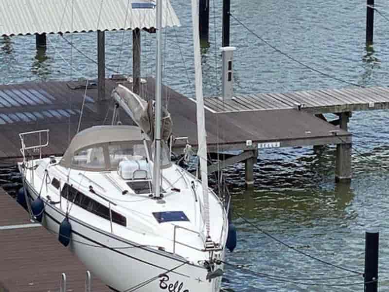 Photo of Bella, image 1 of 5