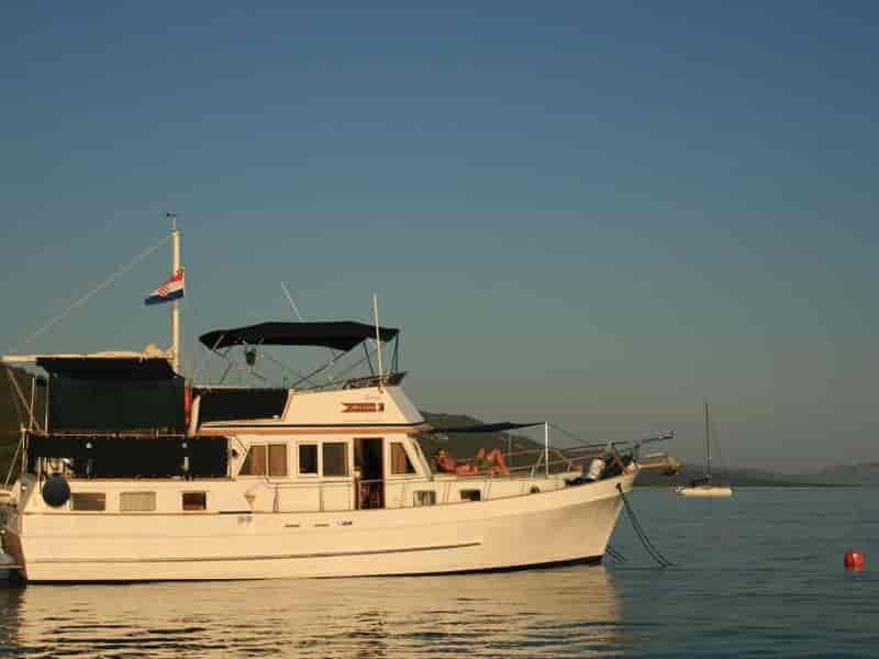 Photo of Sea Lion, image 1 of 5