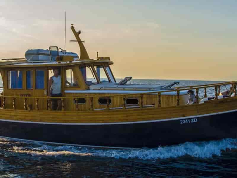 Photo of Luka, image 1 of 5