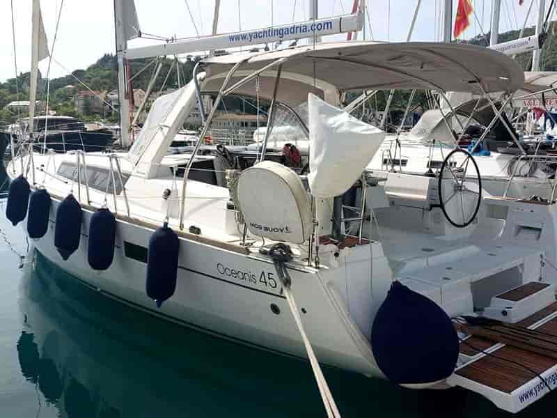 Photo of Stella , image 1 of 5