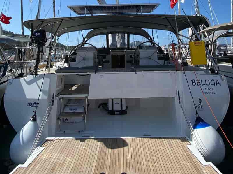 Photo of Beluga, image 1 of 5