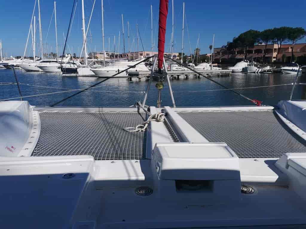 Photo 3 of Bambenella