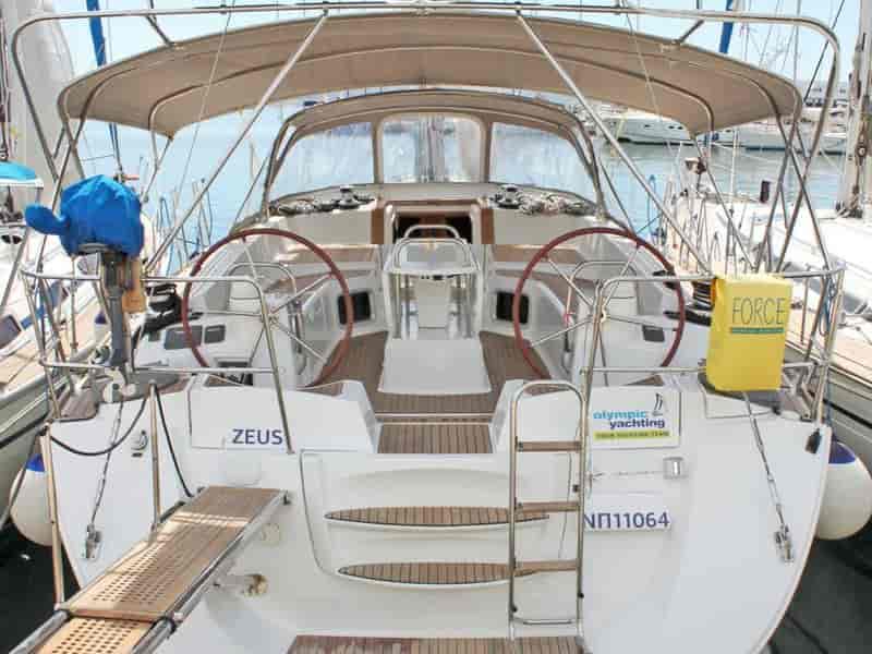 Photo of Zeus, image 1 of 5