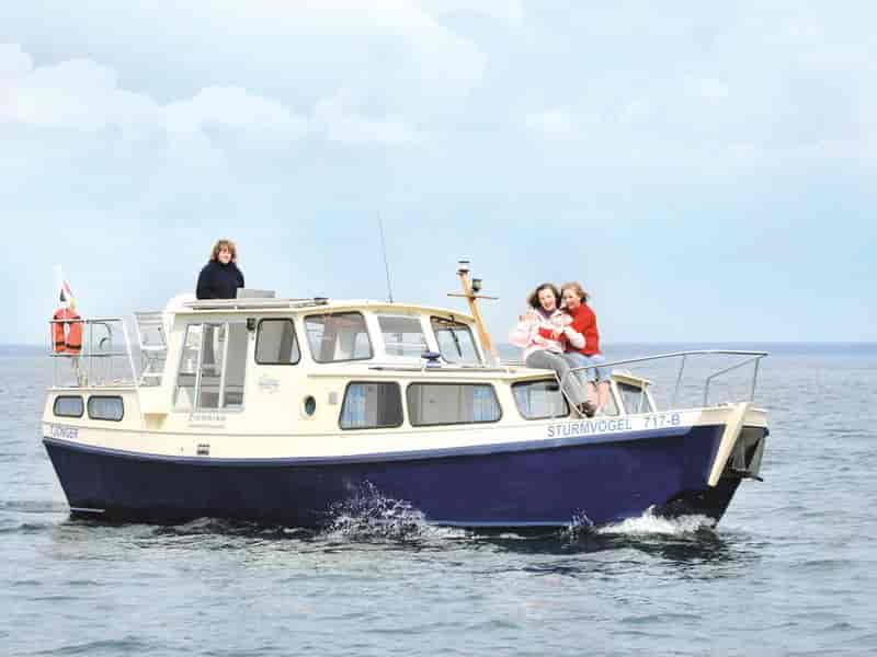 Photo of , image 1 of 5