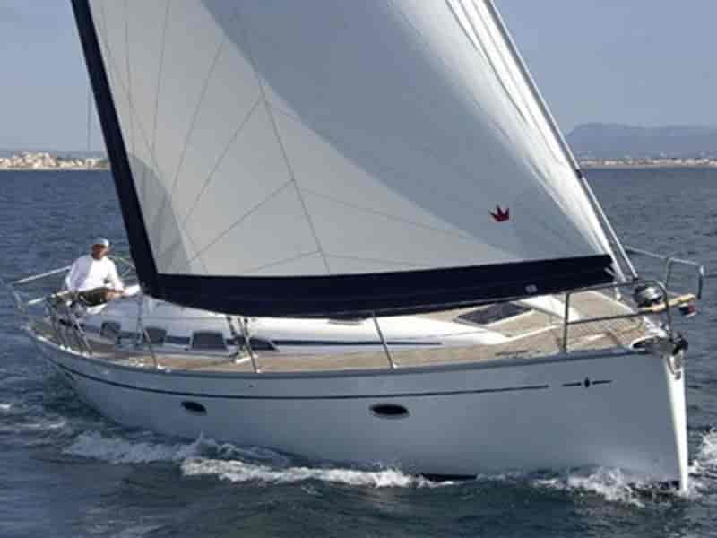 Photo of Yilki, image 1 of 5