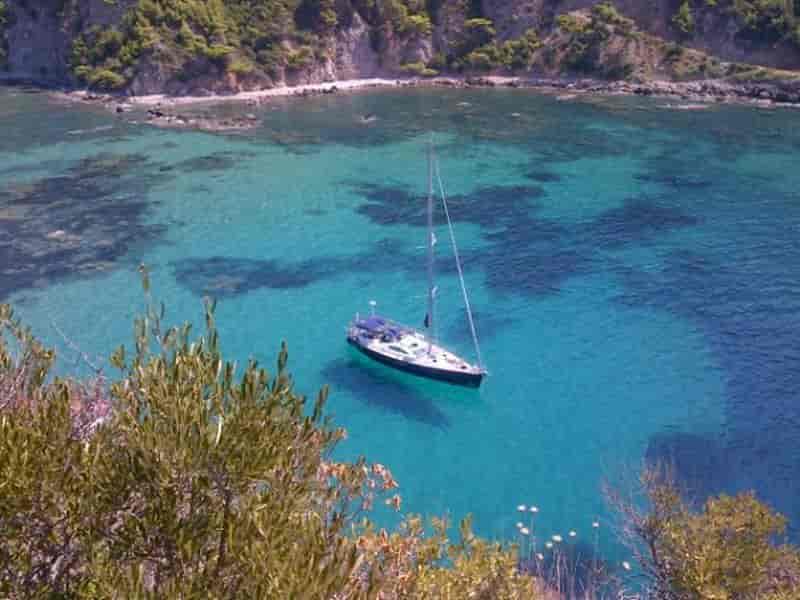 Photo of Felicita, image 1 of 5