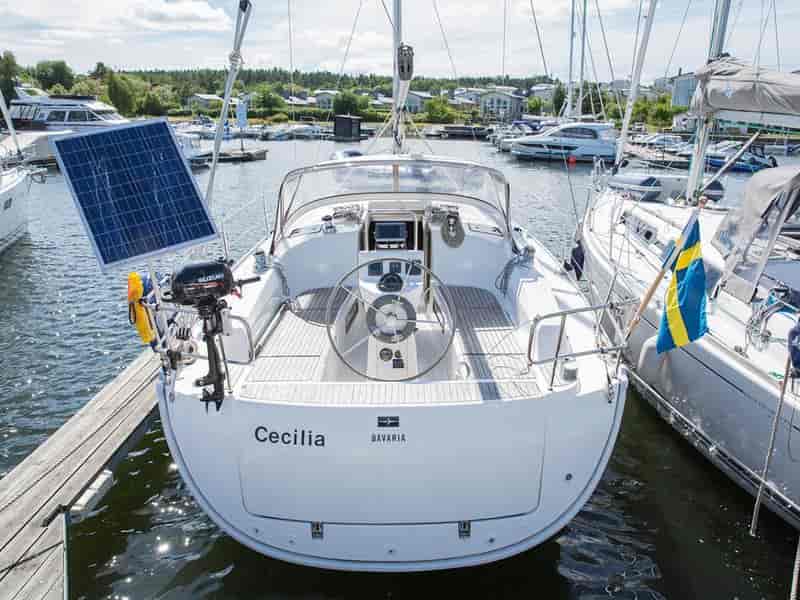 Photo of Cecilia, image 1 of 5